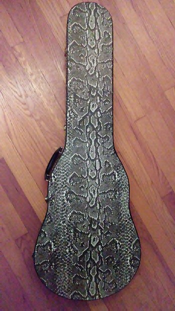 Les Paul Snakeskin Guitar Case