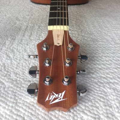 Peavey DW-1 Acoustic-Electric Guitar image 5