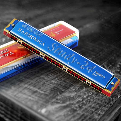 Hohner Triumph circa 1900's | Reverb