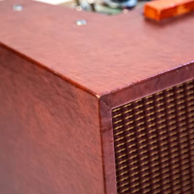 1954 Echosonic amp Owned by Brian Setzer image 7
