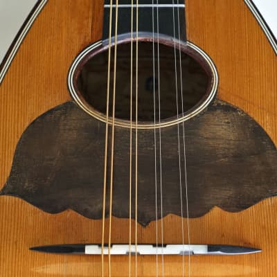 フラテリ ヴィナッチャ マンドリン Fratelli Vinaccia 24 Mandolin by Fratelli Vinaccia 1938 | Reverb France