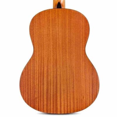 Cordoba Protege C1M Nylon-String Acoustic Guitar (BF23) image 2