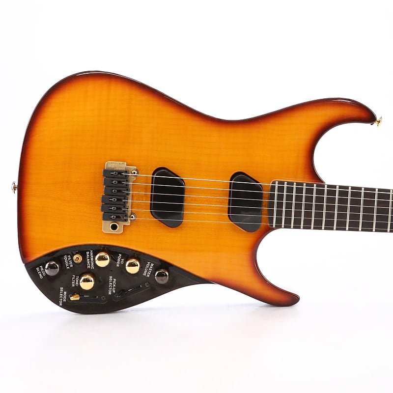 Moog Paul Vo Collector's Edition Electric Synthesizer Guitar Reverb