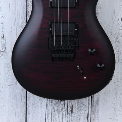 PRS Paul Reed Smith Dustie Waring DW CE 24 Floyd Electric Guitar with Gig Bag for sale