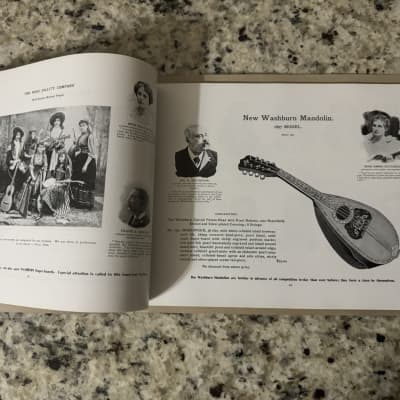 Washburn 1897 guitar mandolin zither banjo reprint catalog Lyon and Healy Lion image 10
