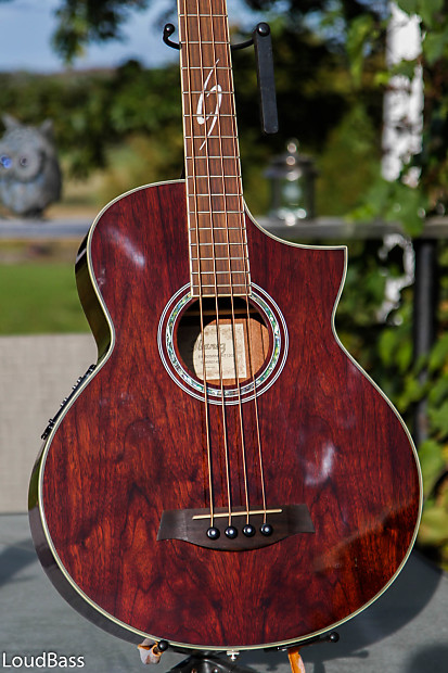 Ibanez ewb20 outlet
