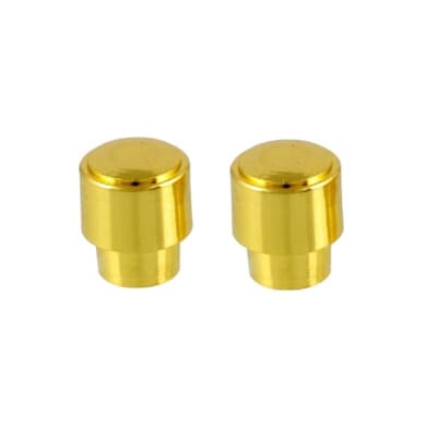 2 Pack Guitar Roller String Tree Retainers for Guitar Gold with Screws