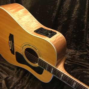 Guild D60 Maple Back "90s Westerly Wonder" Rare Bird  Acoustic Electric Top of the Line Model image 11