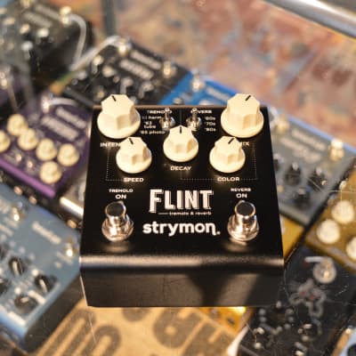 Strymon Flint - Black Knob Edition | Reverb