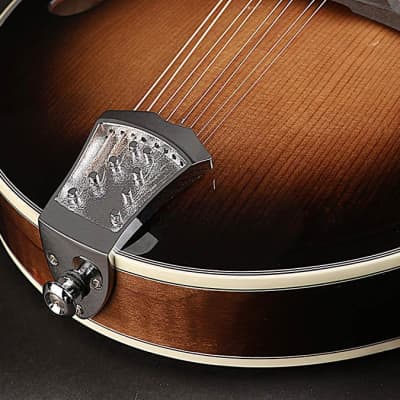 Richwood All Solid Master Series RMF-100-VS F-style mandolin with solid maple bo image 4