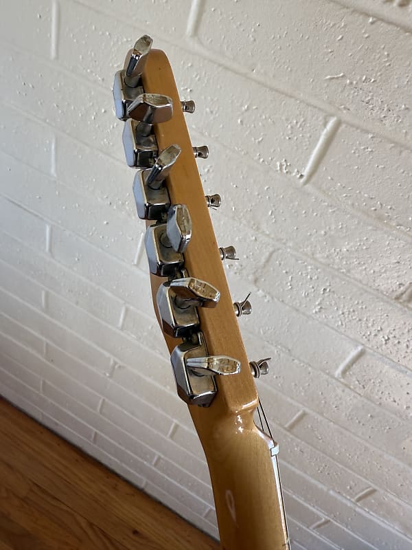 Fender Fender