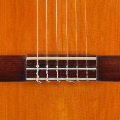 Jose Yacobi 1970's amazing classical guitar, tradition of Ignacio Fleta, Francisco Simplicio (Yacopi) - video! image 4