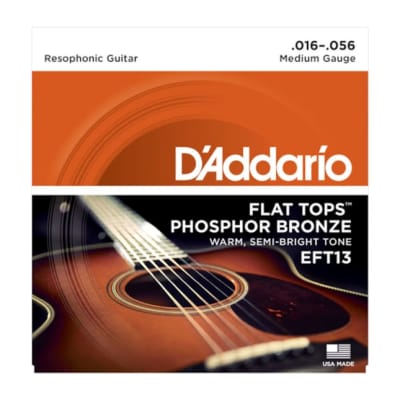 D'Addario EFT13 Phosphor Bronze Flat Tops, Medium, 16-56 image 1