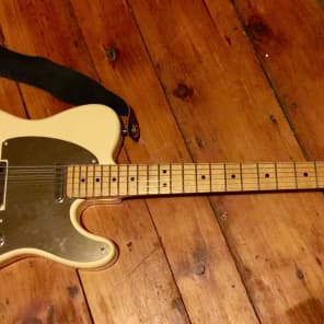 Jeff Buckleycaster Tele Custom Built Warmoth Neck Fender Japan Top Loading Body image 4