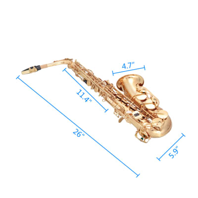 Glarry Alto Saxophone E-Flat Alto SAX Eb with 11reeds, case, carekit, Gold Color for Students image 12