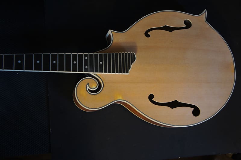 MANDOLIN KIT, DIY F5 Archtop 2009 unfinished Reverb
