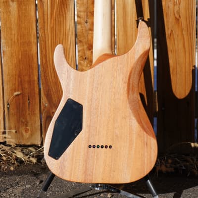 ESP USA Horizon-II See Thru Black Sunburst  6-String Electric Guitar w/  Tolex Hard Case (2022) image 10