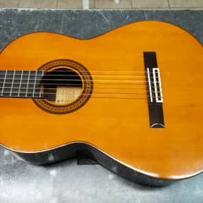 Yamaha G 240 Classical Guitar Natural Cedar Reverb