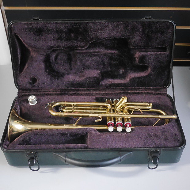 Windsor trumpet top