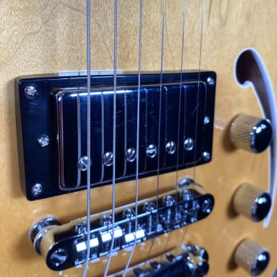 Reverend Limited Edition Roundhouse Semi Hollow Body Archtop Vintage Clear Natural Guitar #22 Blem image 5