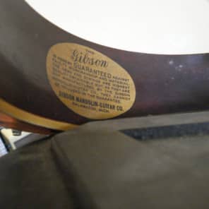 Gibson Banjolin  Trap Door 1920's? 12 string Kalamazoo image 9