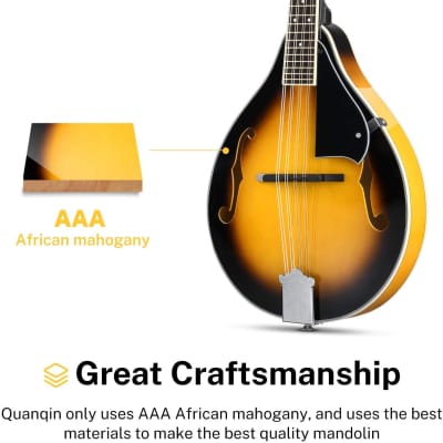 A Style Mahogany Mandolin with Tuner String Gig Bag and Guitar Picks Bundle Full Kit image 2