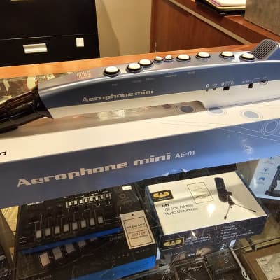 Roland AE-01 Aerophone Digital Wind Instrument | Reverb