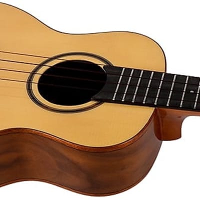 Flight SOPHIATESOUN Princess Series Tenor Electro-Acoustic Ukulele w/Soundwave Pickup System & Bag image 3