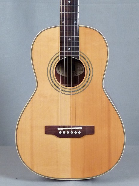 Epiphone blues master top