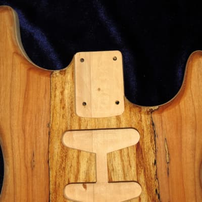 Spalted Maple Top / Basswood Strat body Standard Hardtail 3lbs 6oz  #3183 image 3