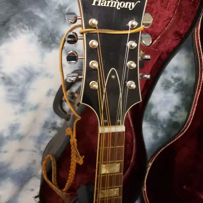 1972 Harmony Batwing Mandolin  Pro Setup New Strings Original Case Strap Capo image 6