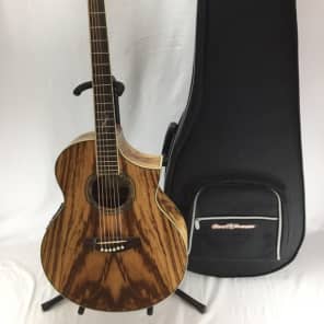 Ibanez ew20zwent deals 1201 price