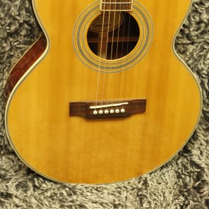 Epiphone PR-5E PR5ENA Acoustic Electric Guitar with Cutaway image 2