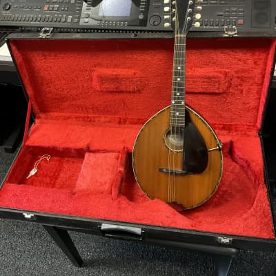 GIBSON ALRITE MANDOLIN MADE IN USA 1917 STYLE D NO.435  IN EXCELLENT CONDITION WITH ORIGINAL HARD CASE AND KEY. image 13