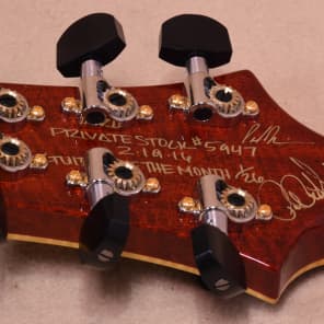 Paul Reed Smith McCarty 594 Private Stock 2016 McCarty Burst (On hold pending payment) image 15