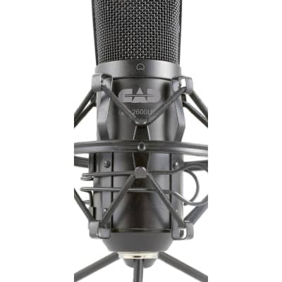 CAD GXL2600 Premium USB Large Diaphragm Cardioid Condenser Microphone w/Tripod Stand, 10' USB Cable image 2