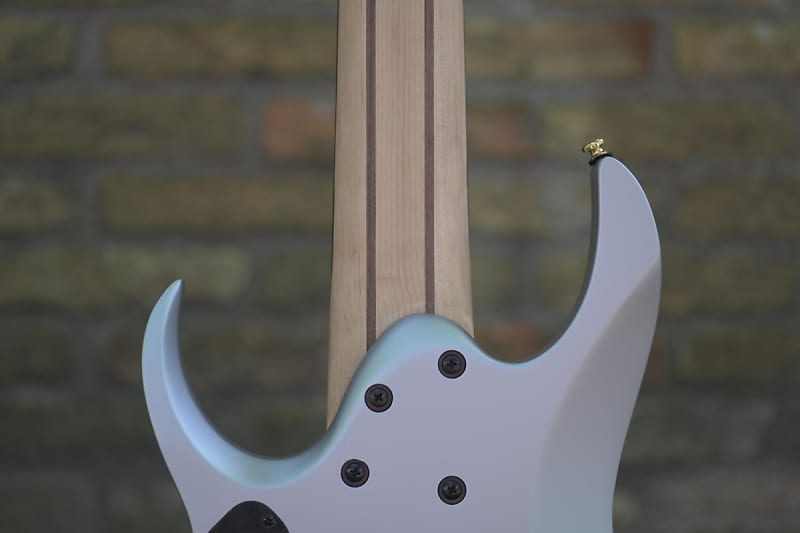 Amazon.com: Ibanez Axe Design Lab RGDMS8 Multi-scale 8