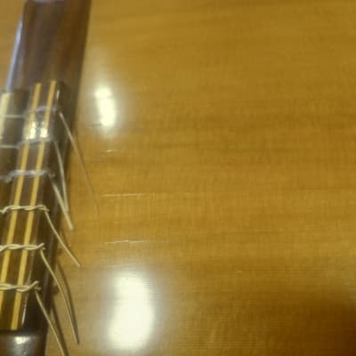 Darren Hippner Fleta 2009 - Cedar/ Indian rosewood. 650mm/52mm image 17