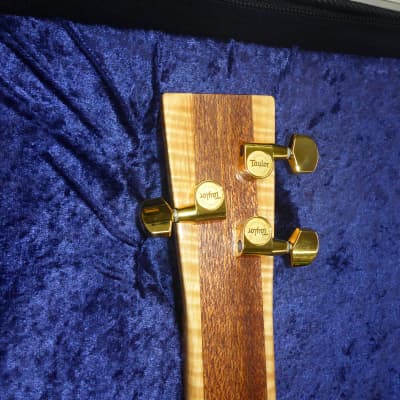 Guitars BHN Custom Made 3 String Lap Steel Electric Guitar w/Case - Torrefied Cotton Wood Burl image 11
