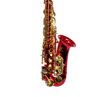 B - U.S.A. WAS-LQ Alto Saxophone Lacquer - Gold Color – CamposMusic