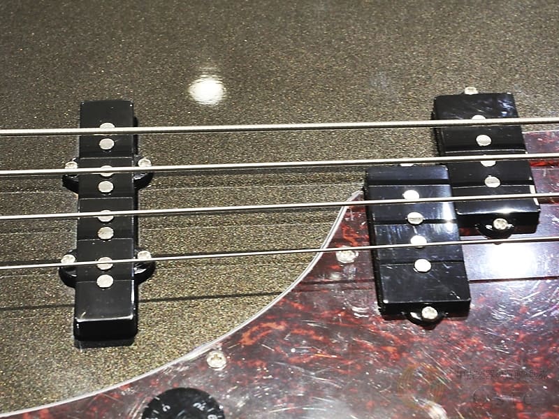 RYOGA Neo SKATER-Bass/Neo Gun Metal Black | Reverb