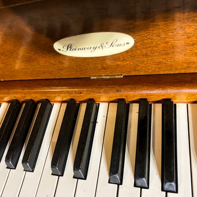 Superb Steinway & Sons upright piano P model image 3