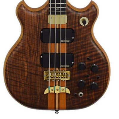 Alembic Brown Bass image 1