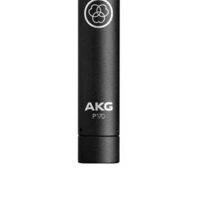 AKG P170 Small Diaphragm Cardioid Condenser Microphone | Reverb