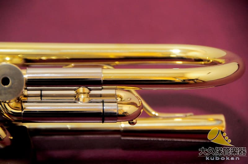 Brasspire Unicorn BPTR-900HNL B♭ Trumpet | Reverb