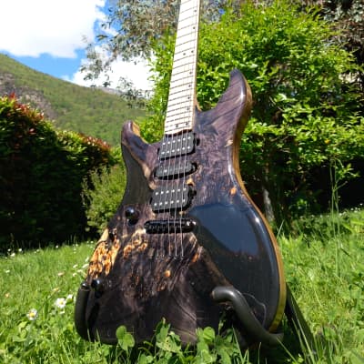ギター　レフティ　PRS　Left　10TOP PRS Paul Reed Smith Custom 24 Left Handed Lefty 10 Top