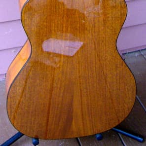 Breedlove Tenor Guitar image 9