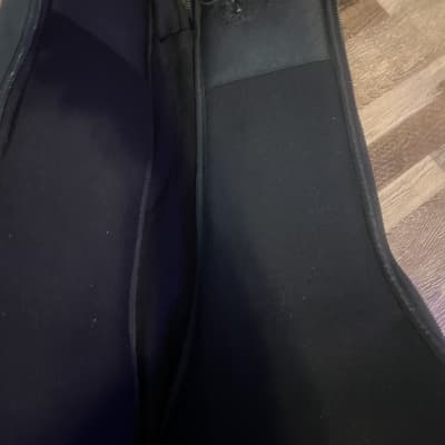 Parker guitars Gig bag LATER VERSION image 4