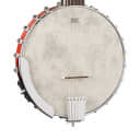 Washburn Americana B6 6-String Banjo Natural