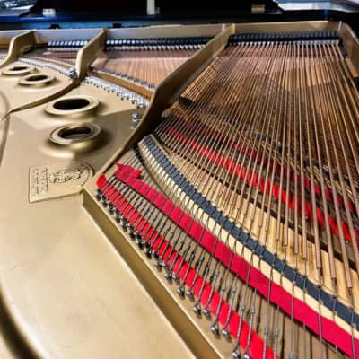 1978 Steinway L-EBY 6′ Grand Piano, Satin Ebony image 3